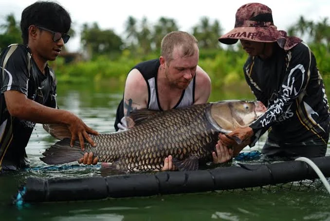 Fish with a crew from Bang Sare